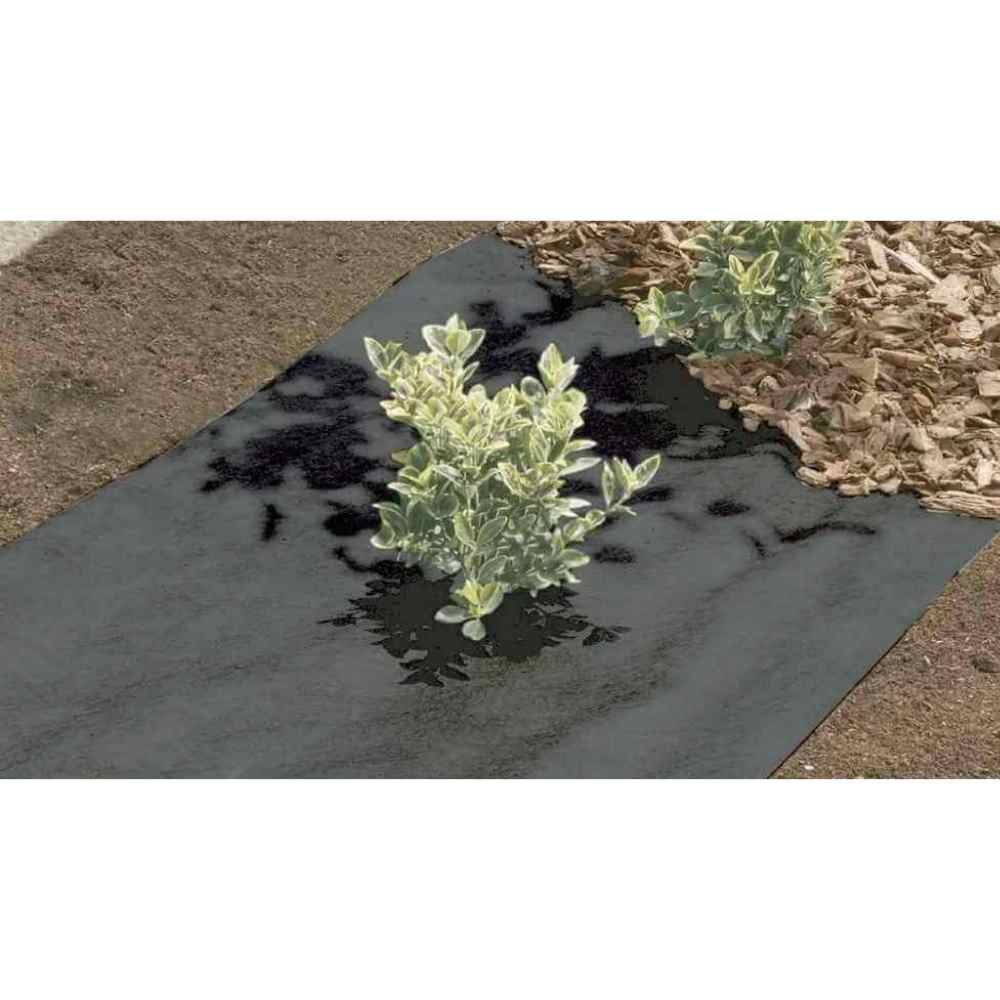 TERRATEX 1 M X 25 M